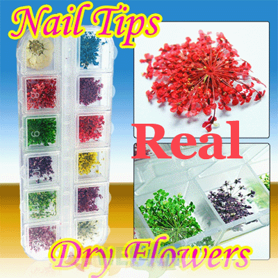 12 pcs Real Dry Dried Flower Nail art Tips Decoration